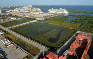 Port Everglades Mangrove Enhancement Area